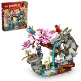 LEGO NINJAGO 71819 Chrm draieho kamea