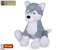 Plush Friends pes husky plyov 78cm sediaci