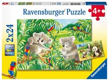 Ravensburger Koaly a pandy 2 x 24 dílků