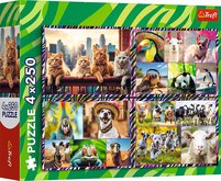 Trefl Puzzle 4x250 - Legran zvierat