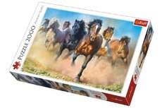 Trefl Puzzle Stdo kon 2000 dielikov 96x68cm v krabici 40x27x6cm